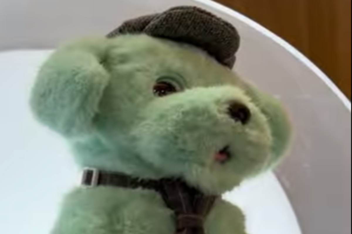 una delle versioni di lilmilo